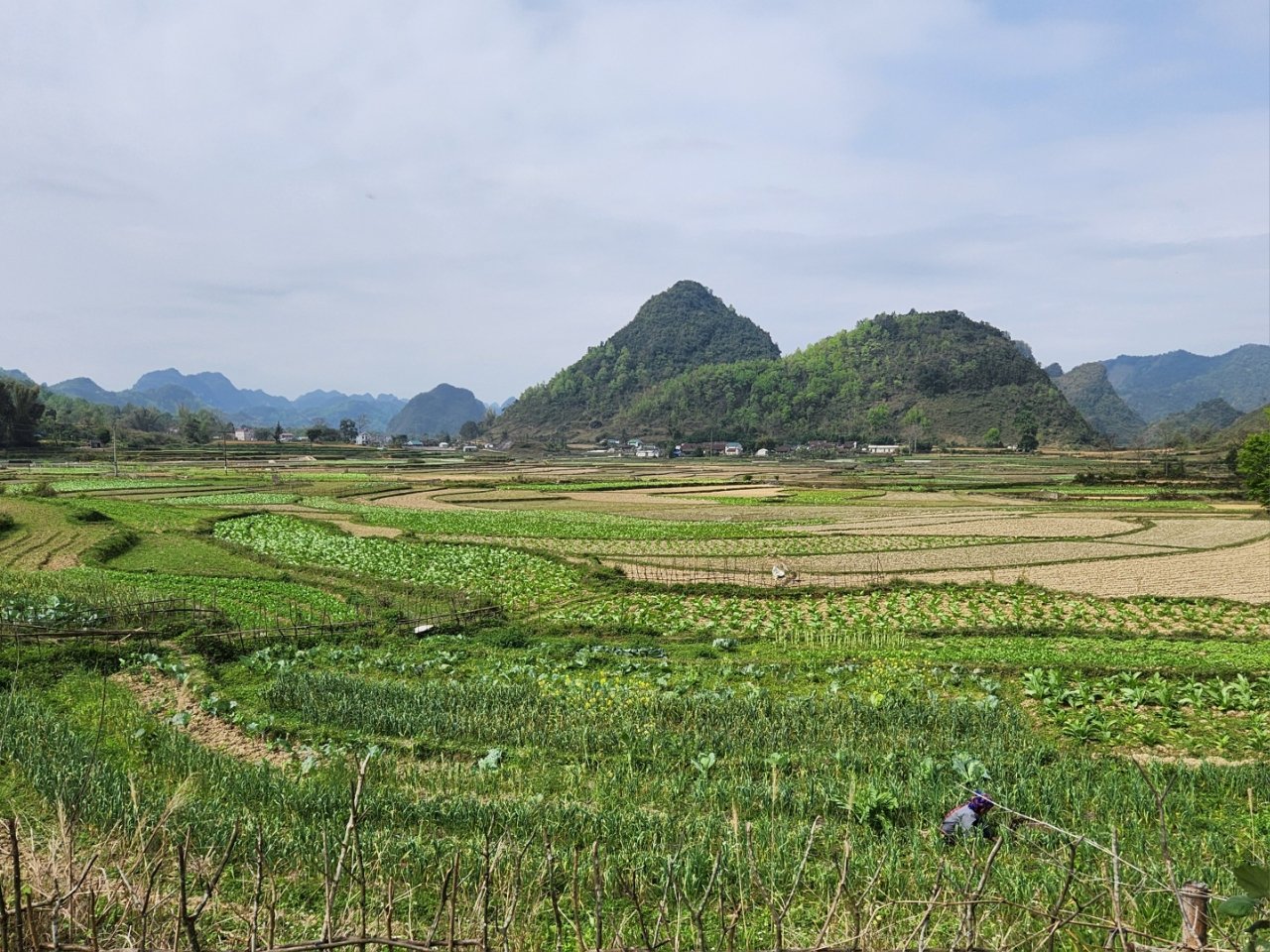 14-Day Northern Vietnam Cycling: Ha Giang, Ban Gioc & Hoang Su Phi